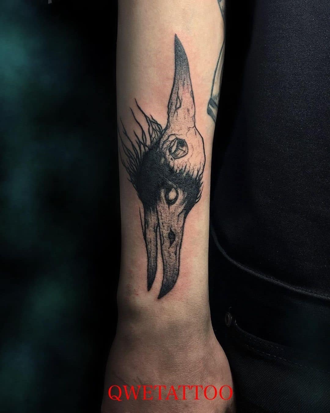 Raven Crow And Skull Tattoo 