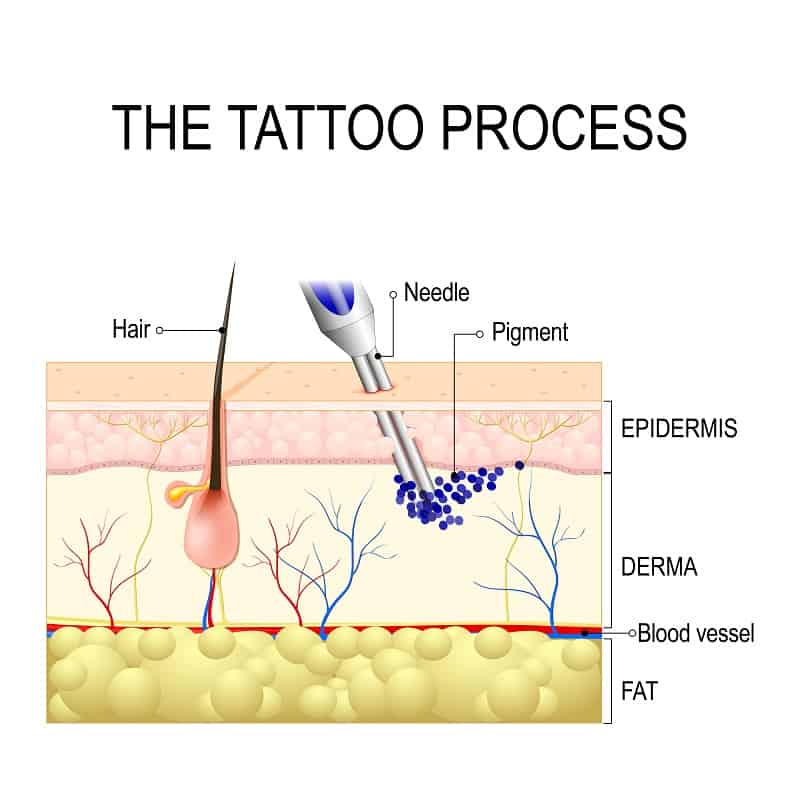 What Does a Tattoo Feel Like? First Timer's Guide to Pain 2023