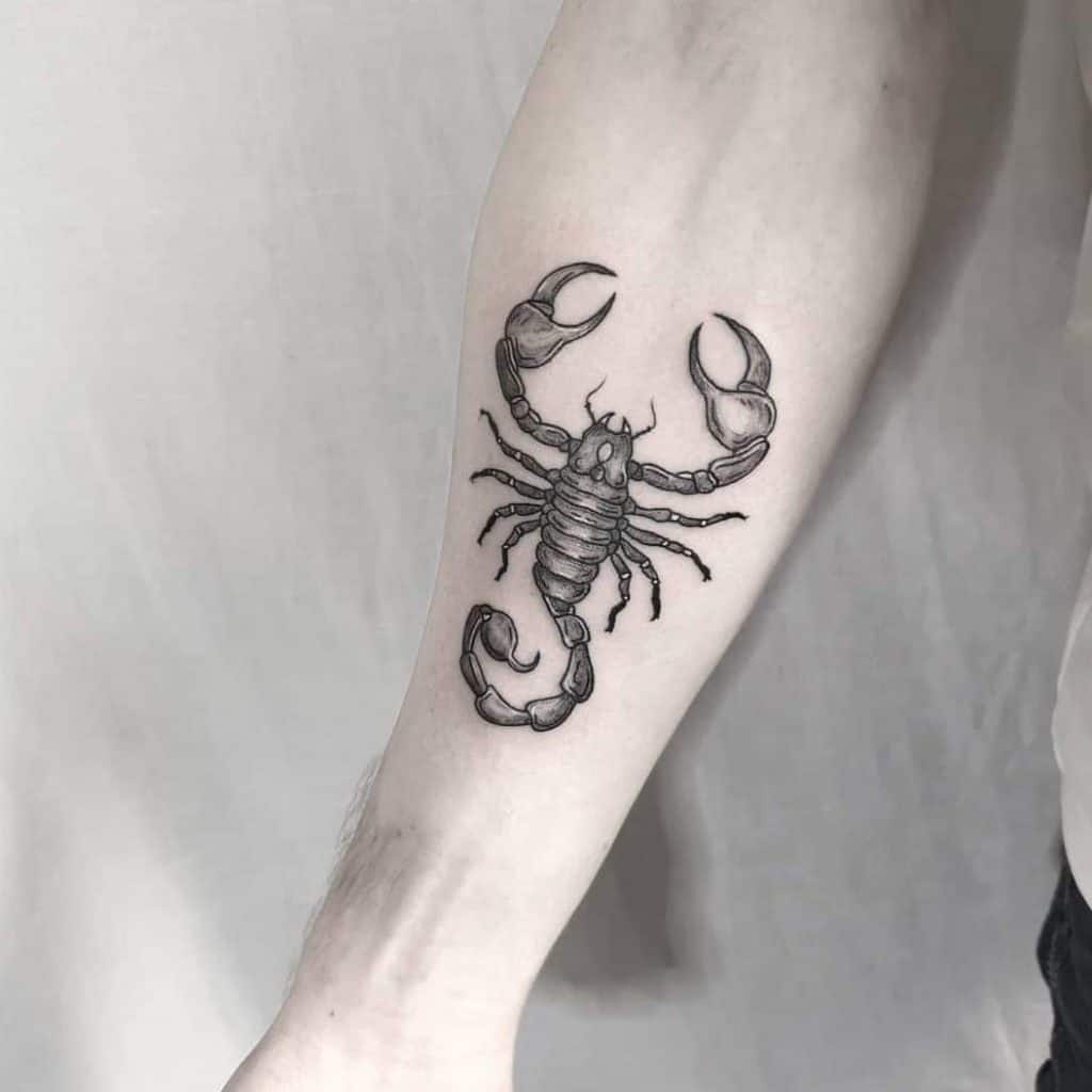 Scorpion Tattoo Design 228389 Vector Art at Vecteezy