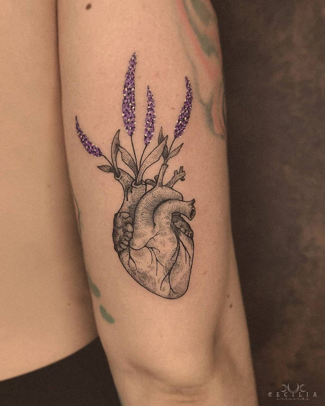Lavender in the heart