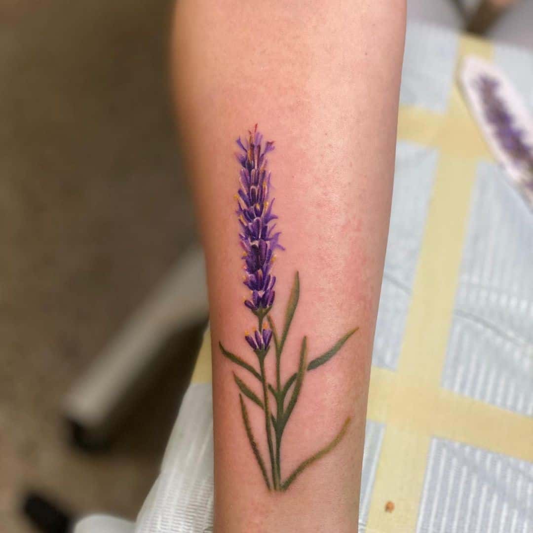 Lonely lavender