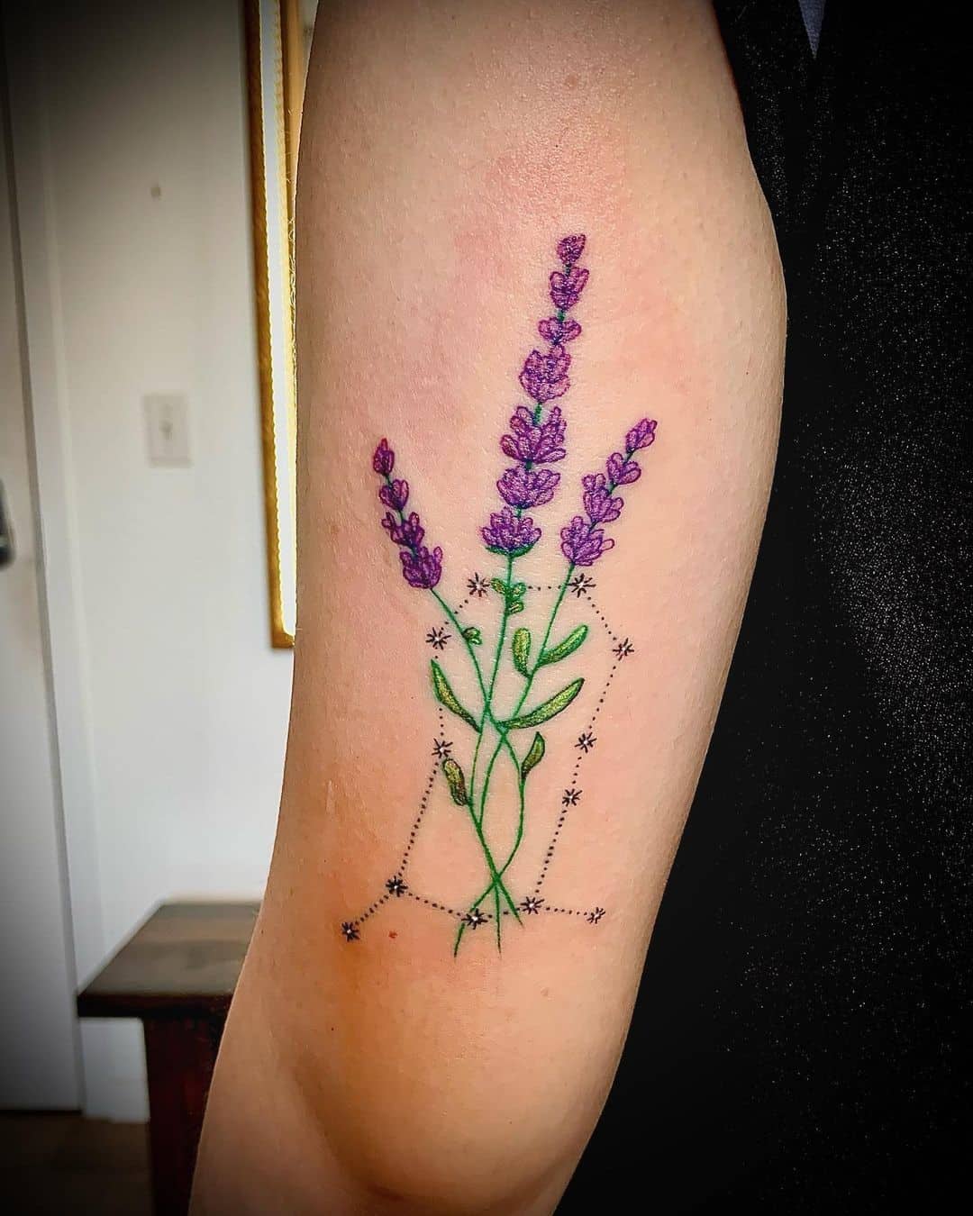 Purple Lavender with dots