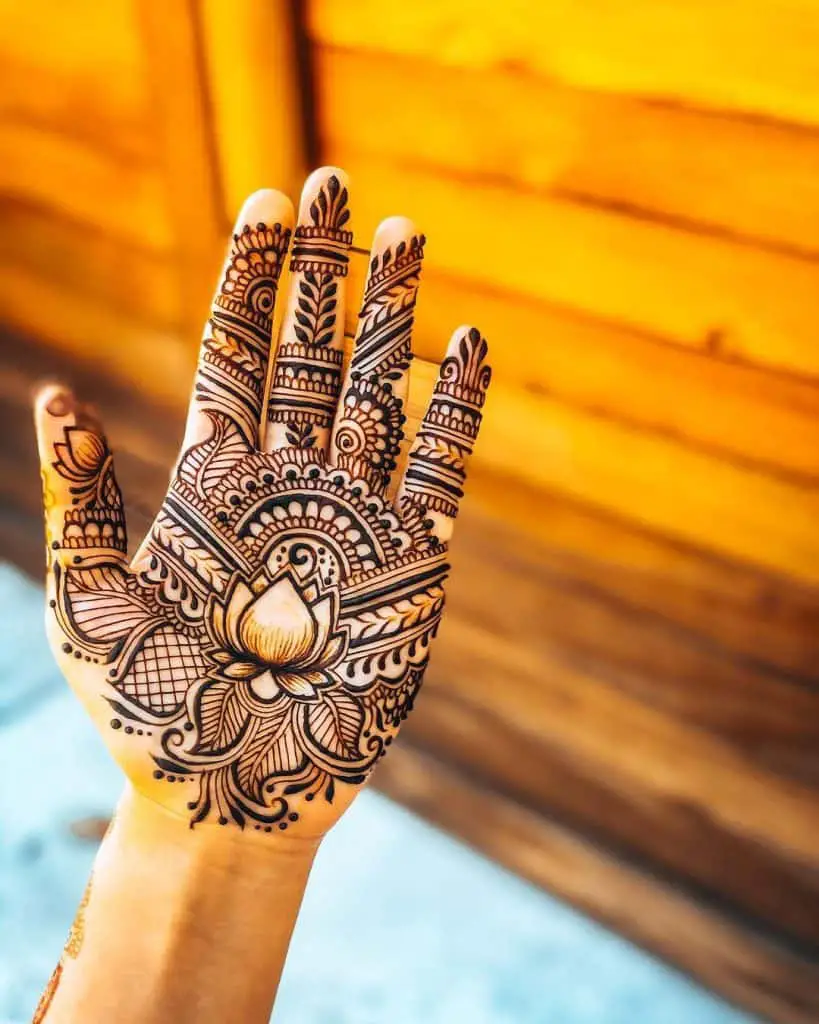 Explore the History of Henna, its Cultural Significance & Uses