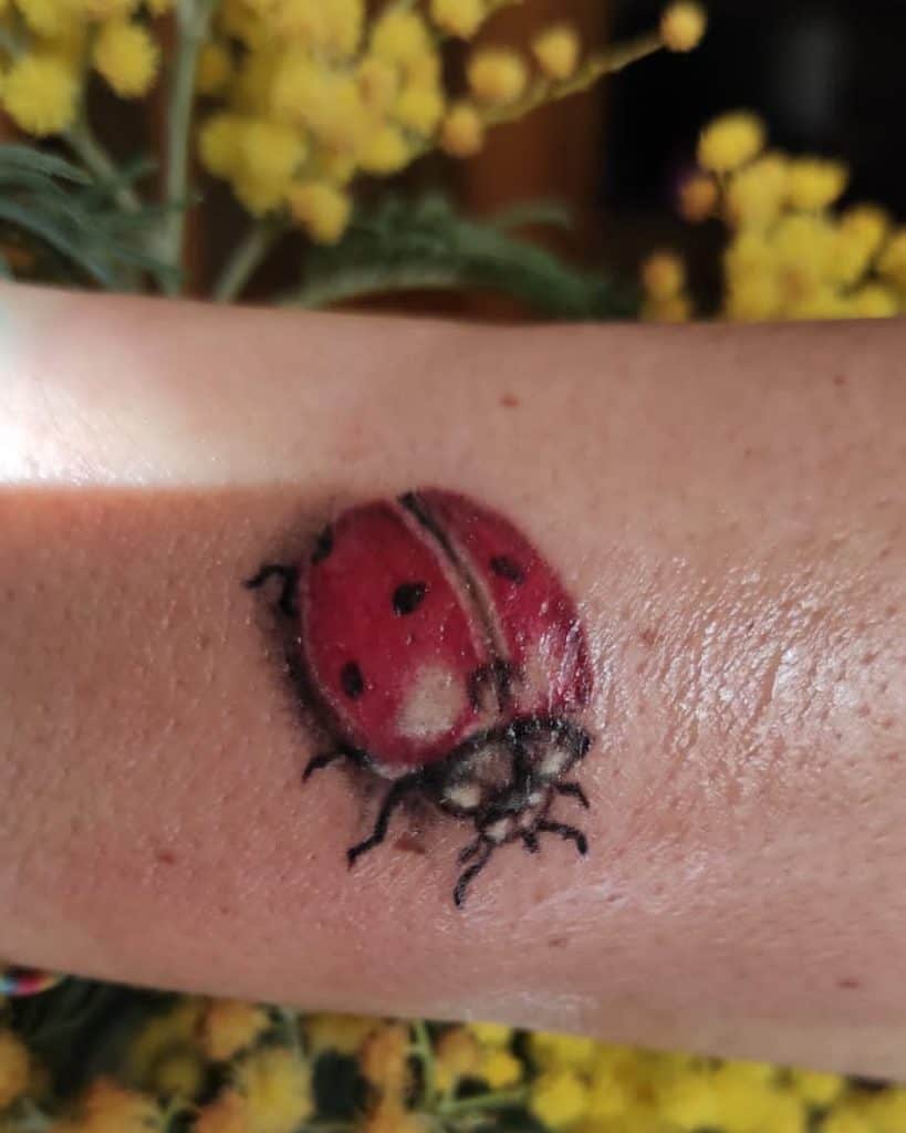 Ladybug Good Luck Tattoo 1