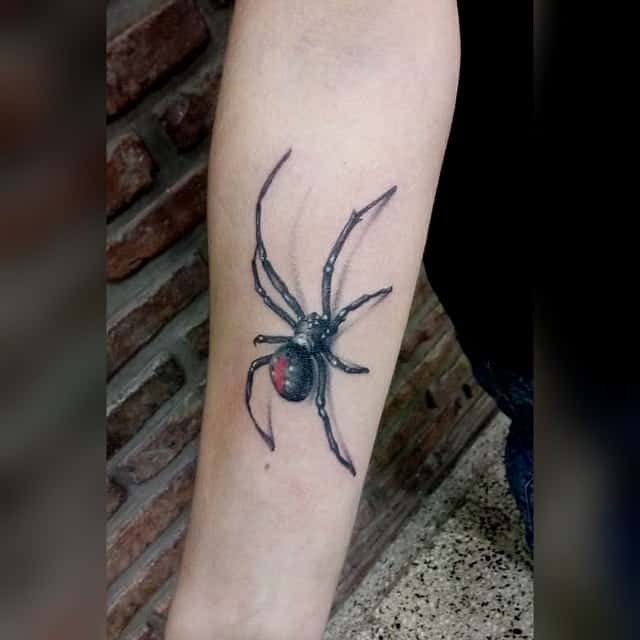 Spider 3D Tattoo Designs 
