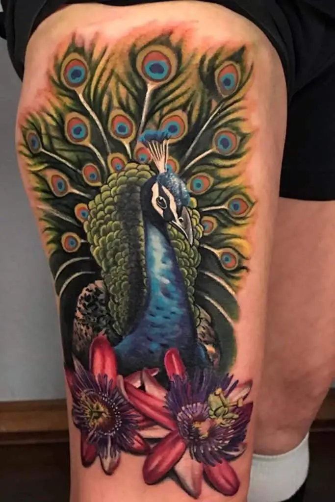 Colorful Traditional Peacock Tattoo 