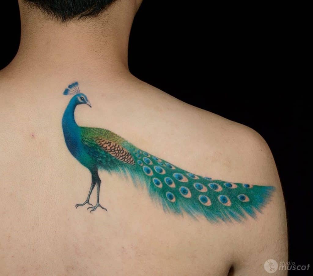 Gorgeous Peacock Back Tattoo Print