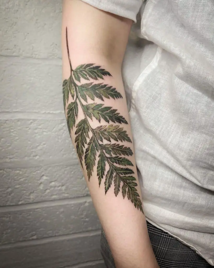 Large Arm Fern Tattoo Design