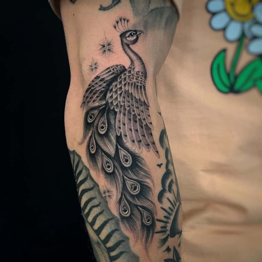 peacock tattoo for men small｜TikTok Search