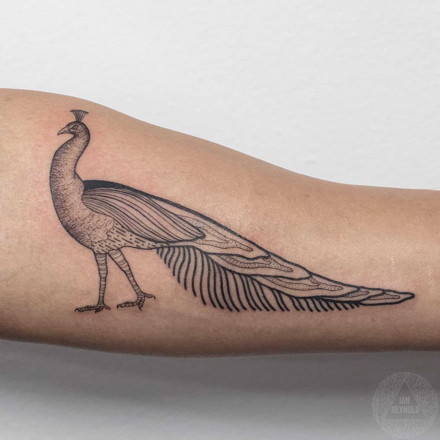 Peacock Tattoo Meaning 2
