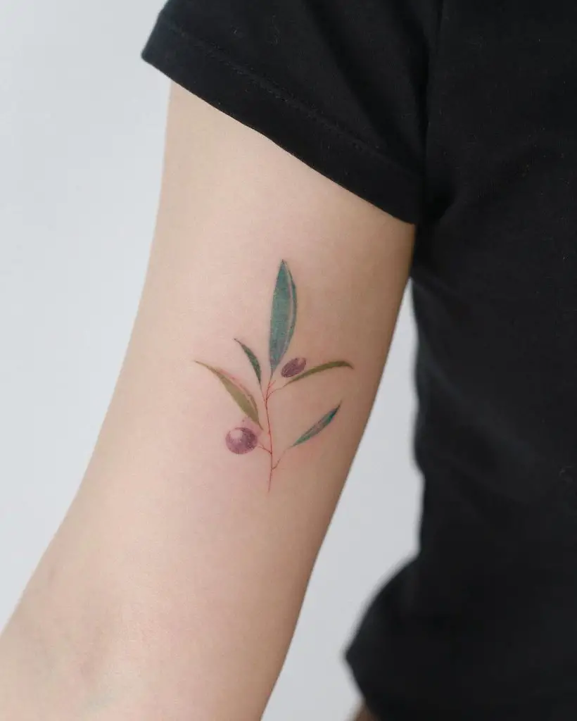 40+ Best Olive Branch Tattoo Designs. Ancient And Modern Meanings - Saved Tattoo