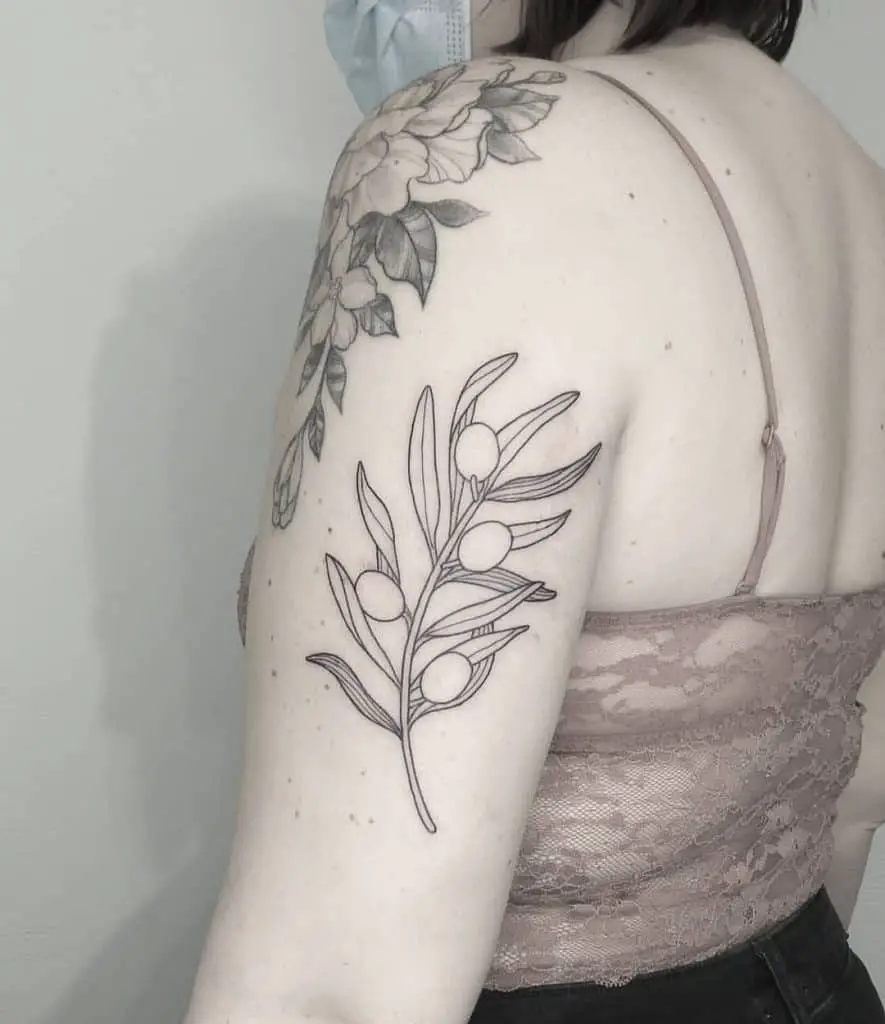 The olive branch tattoo on the arm
