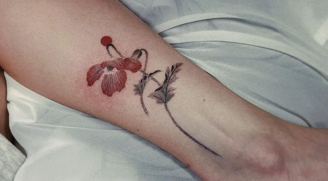Poppy Flower Tattoo Designs Simple Art