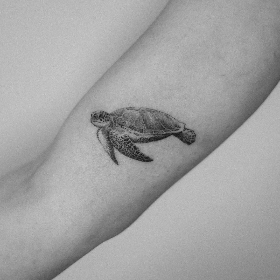Realistic Black and Gray Turtle Tattoos 2