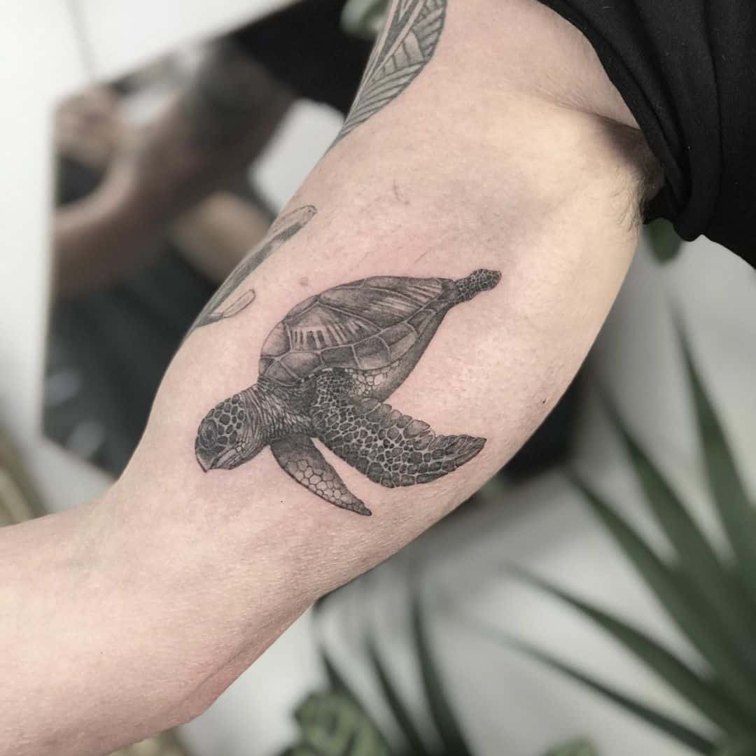 Realistic Black and Gray Turtle Tattoos 3