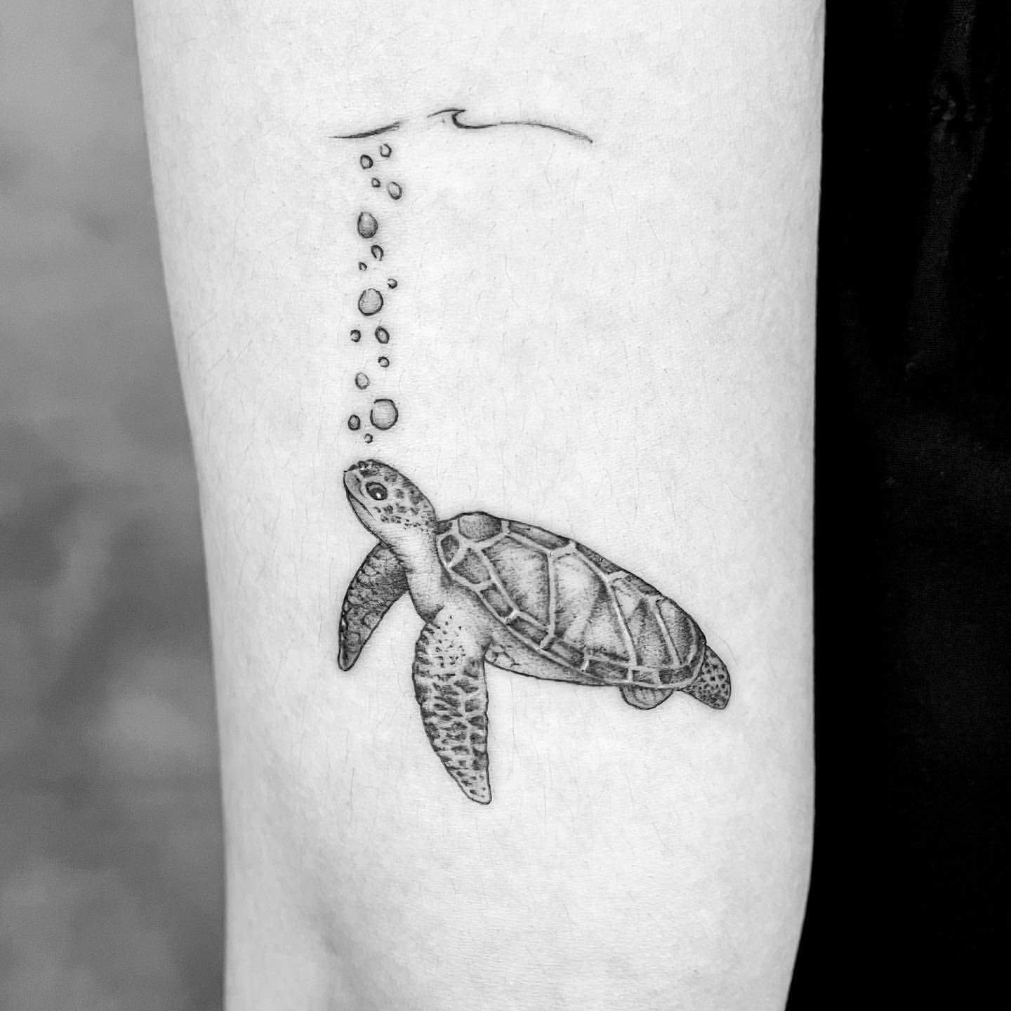 Turtle Tattoos on Arms 1