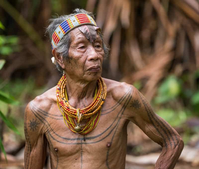 Mentawai tribe man wearing a traditional headdress and body tattoo