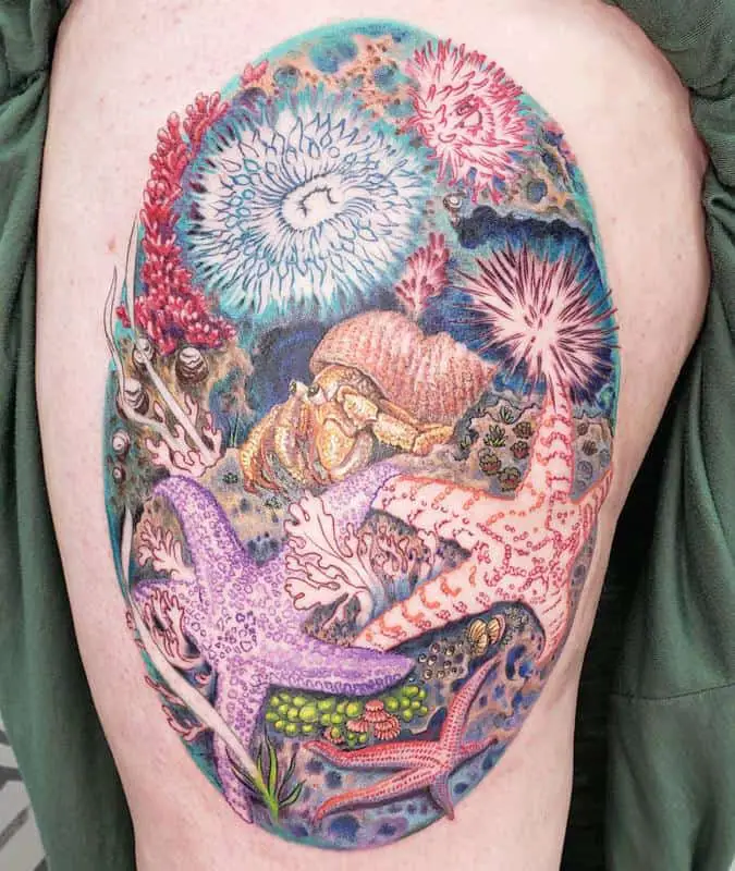 Starfish Tattoos On Leg
