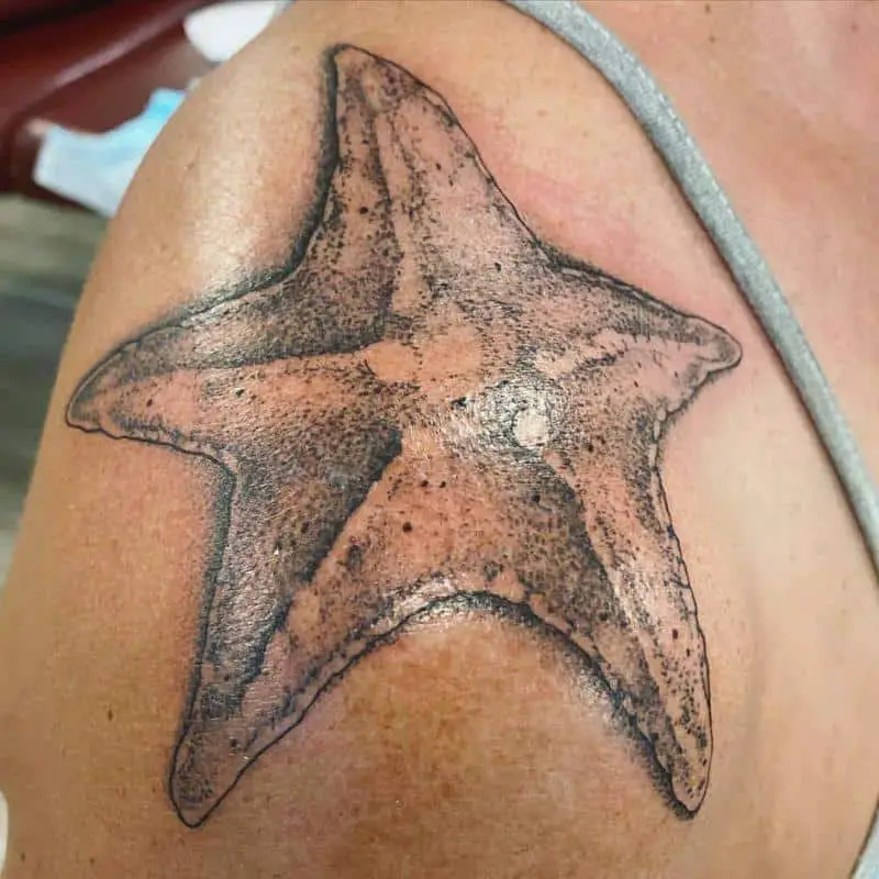 Starfish Tattoos On The Shoulder