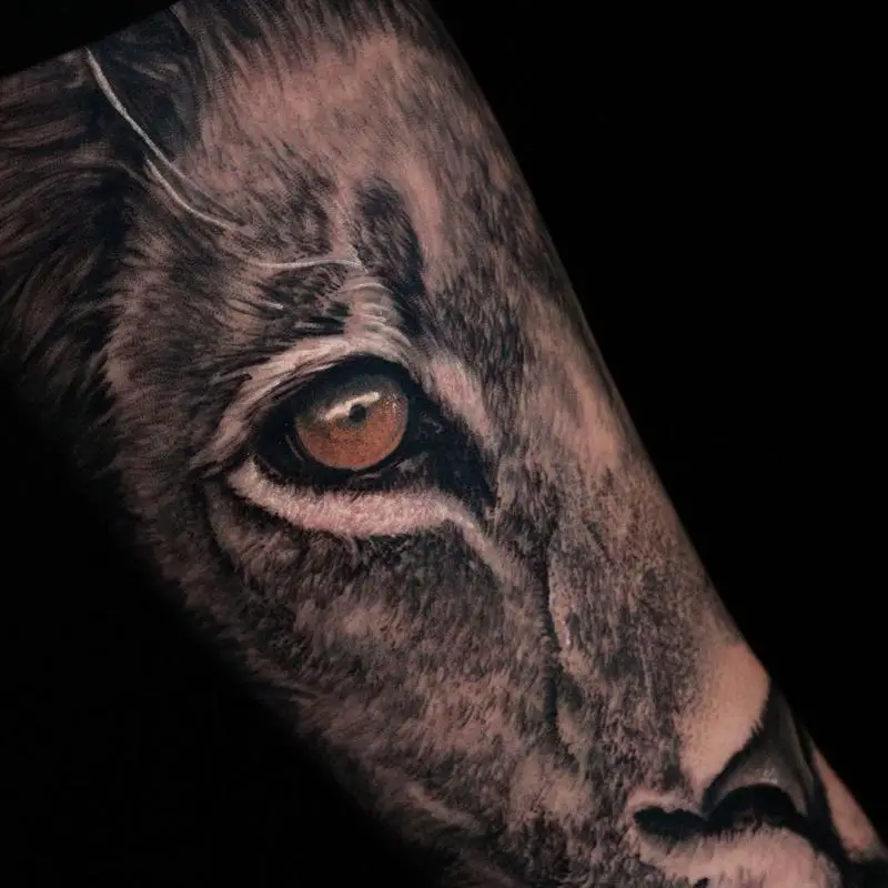 Lion Tattoo That Show Courage and Bravery 6