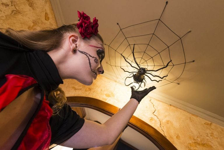 Top 30 Amazing Spider Tattoos on Different Placement of Your Body