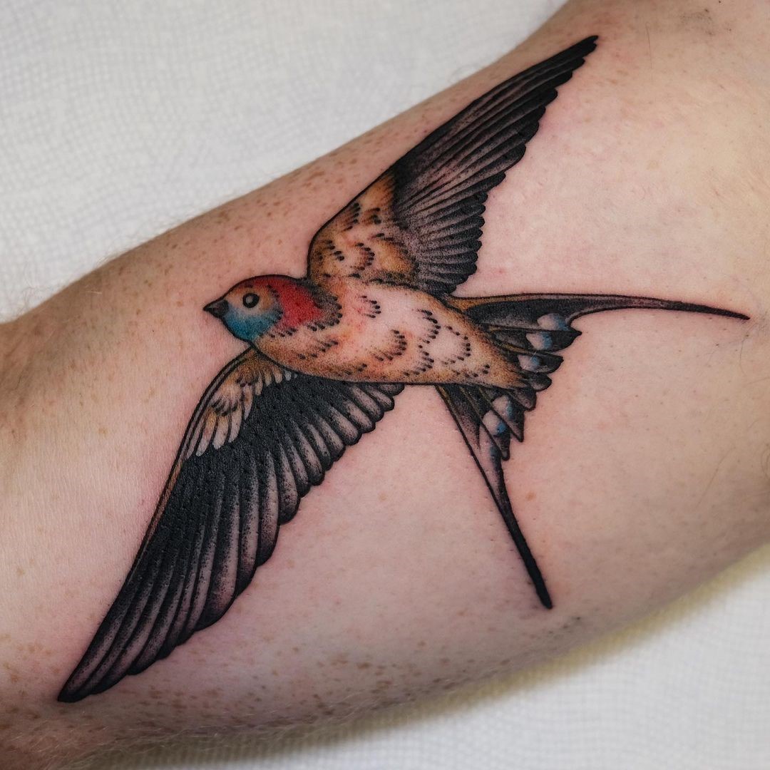 35+ Unique Sparrow Tattoo Design Ideas (Black & White, Colorful) - Saved  Tattoo