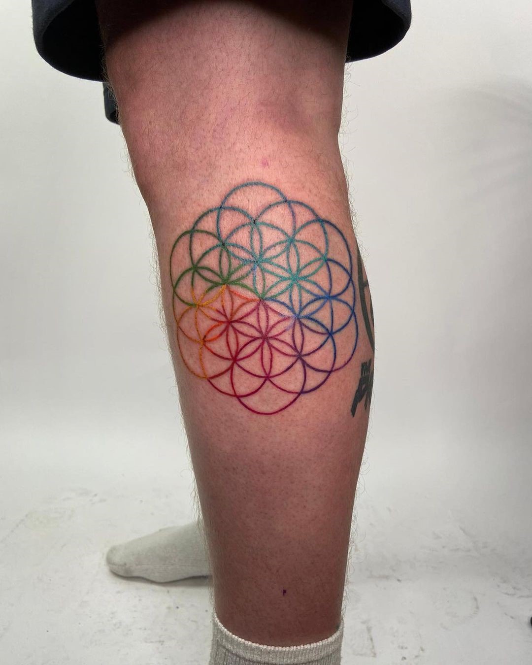 Calf Flower Of Life Colorful Tattoo 
