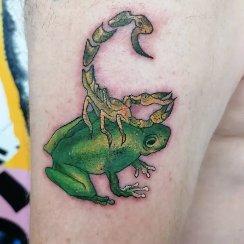 Frog And Scorpion Tattoo 2