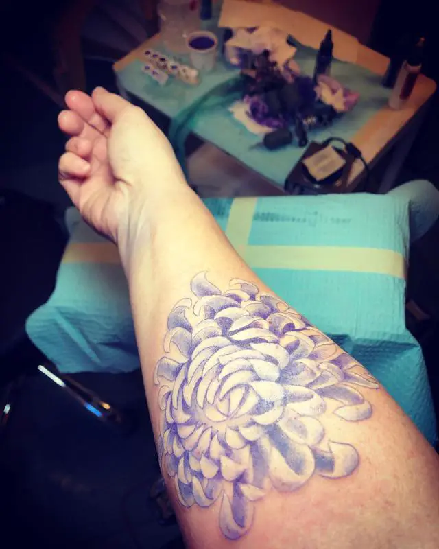 Purple Chrysanthemum Tattoo 2
