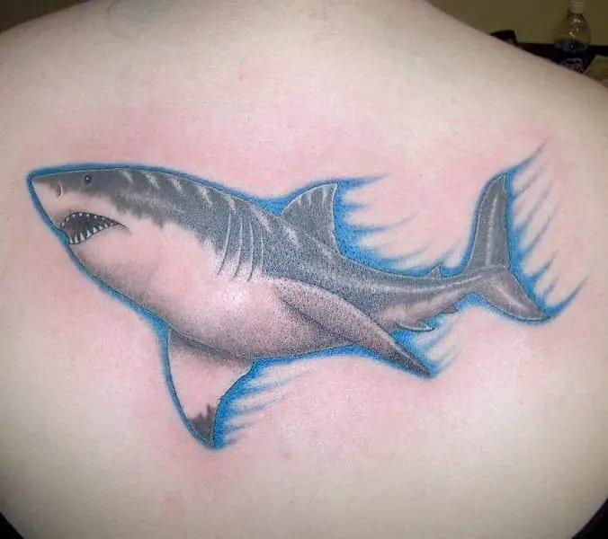 38 Popular and Meaningful Shark Tattoo Design Ideas (2023 Updated) - Saved  Tattoo