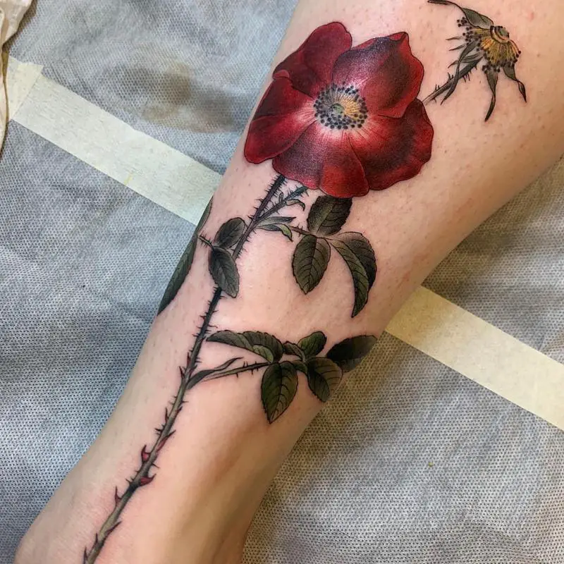 Botanical Rose Tattoo