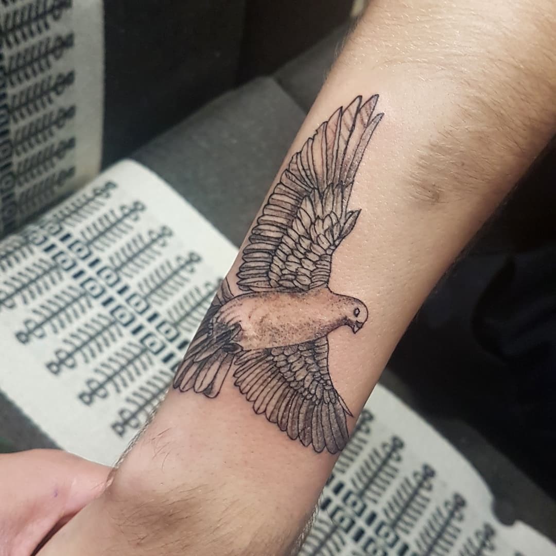 Detailed Art Dove Tattoo