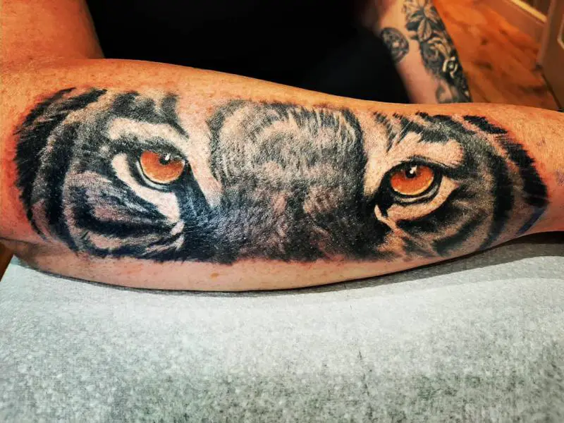Orange Tiger Eyes Tattoo Design