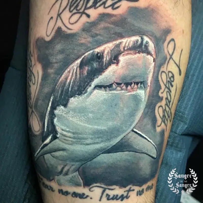 Realistic Shark Tattoo Design