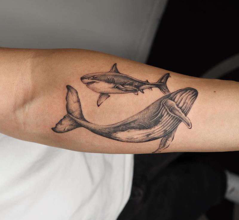 Shark Against The Whale Tattoo Design