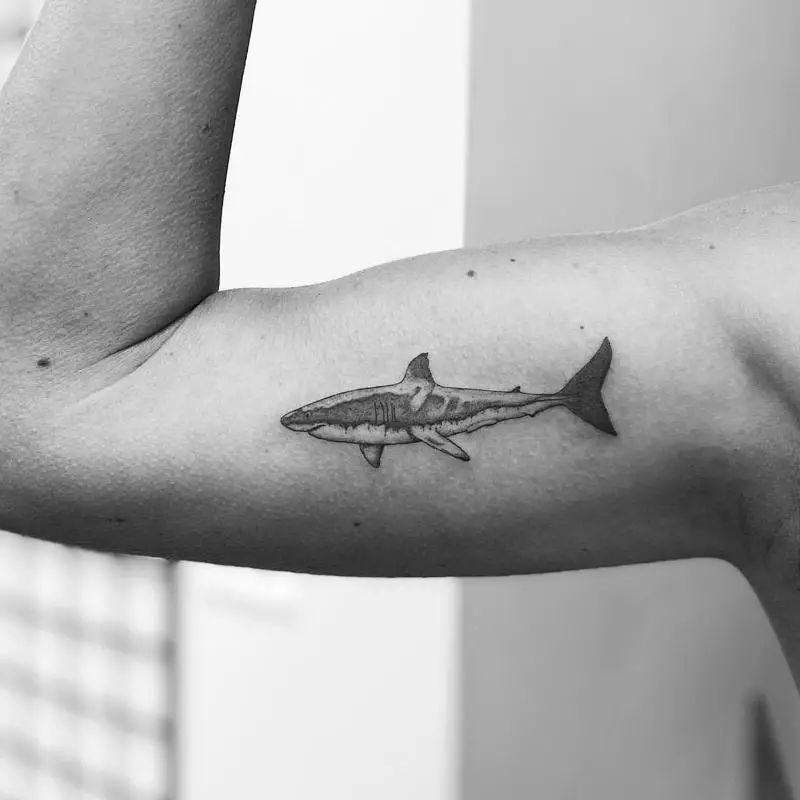 skull sword shark anchor rudder ribbon cartoon pirate tattoo marine  nautical icon. Black white isolated design. Vector illustration Stock  Vector | Adobe Stock