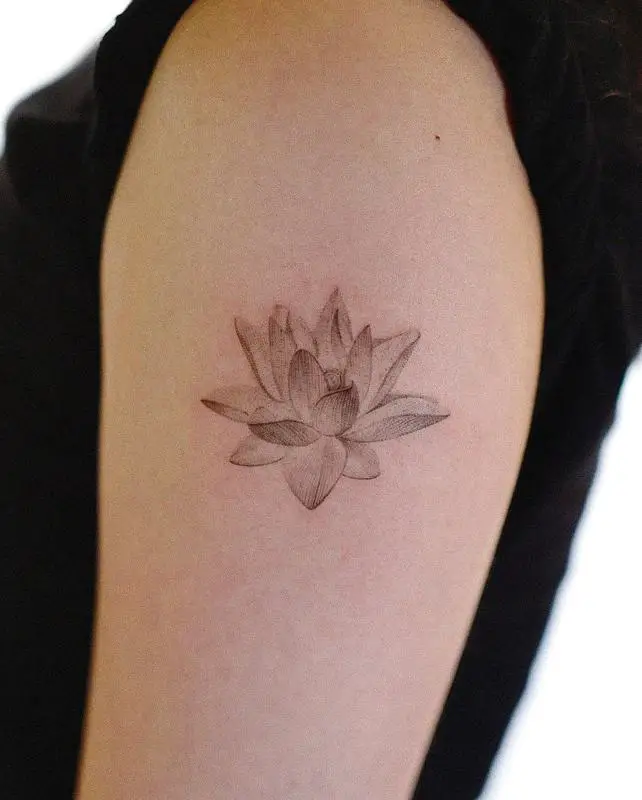 July Birth Flowers Water Lily 5